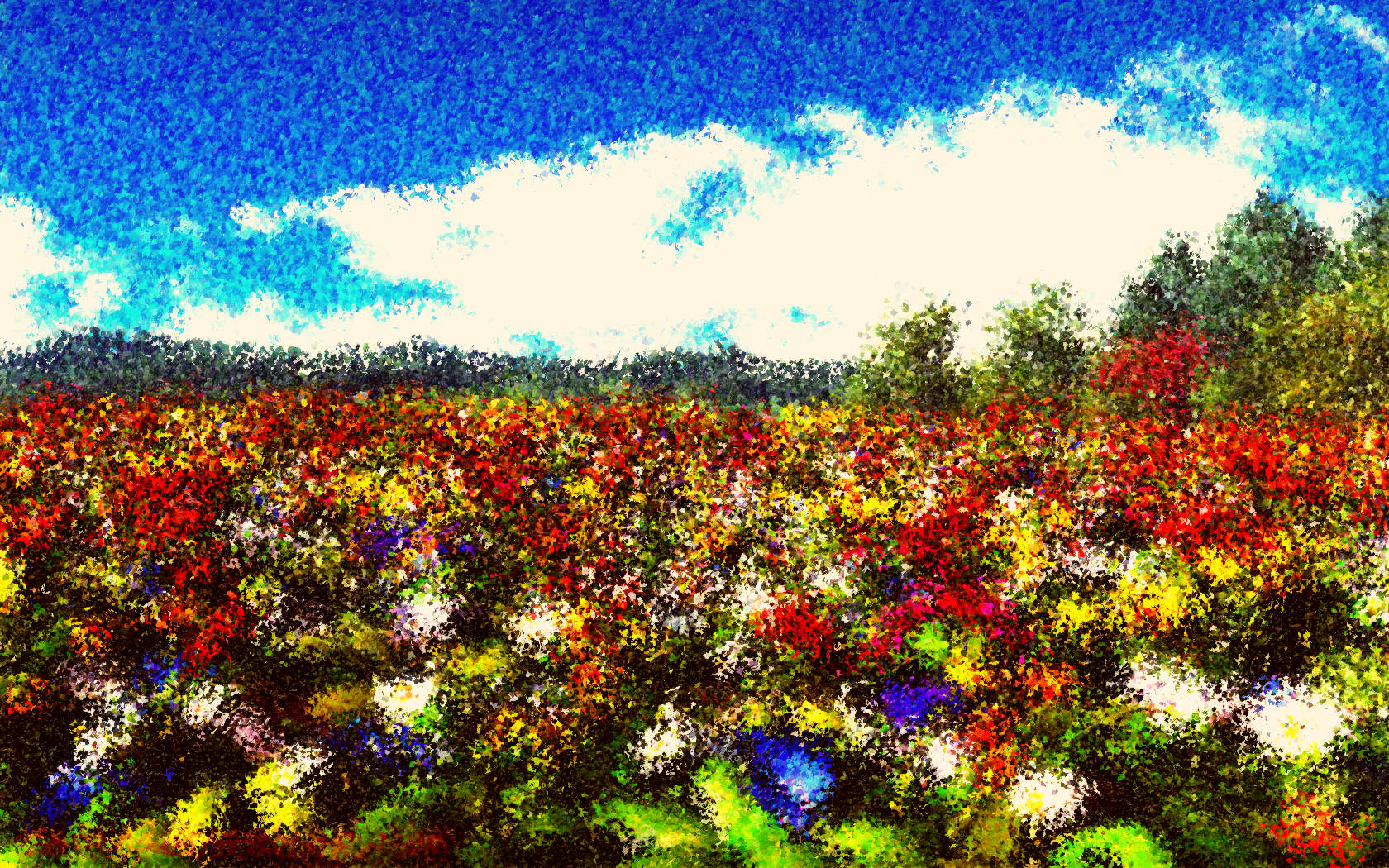 Desktop Hintergrund Blumenwiese