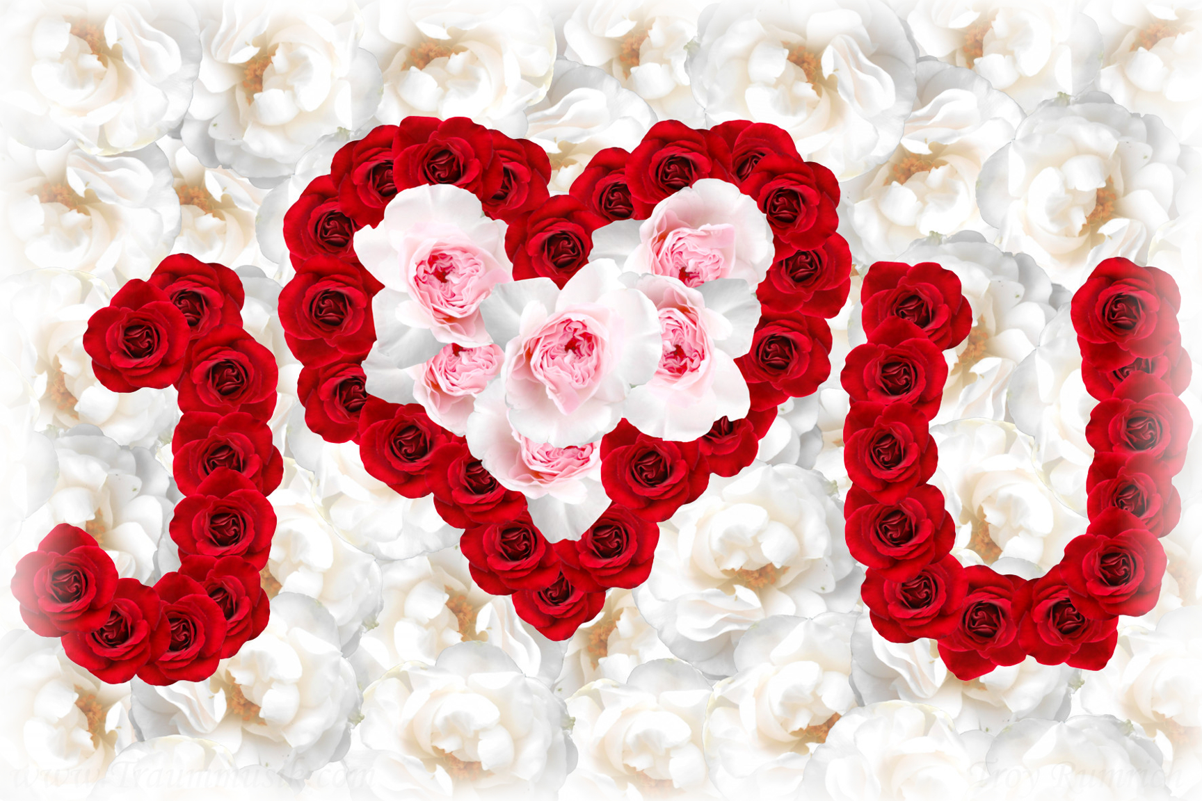 Grußkarte Postkarte Hagaki "I Love You" Herz aus Rosen Blumen Bild Valentin