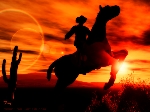 cowboy prärie plains prairie kaktus cactus pferd horse sonnenuntergang sunset